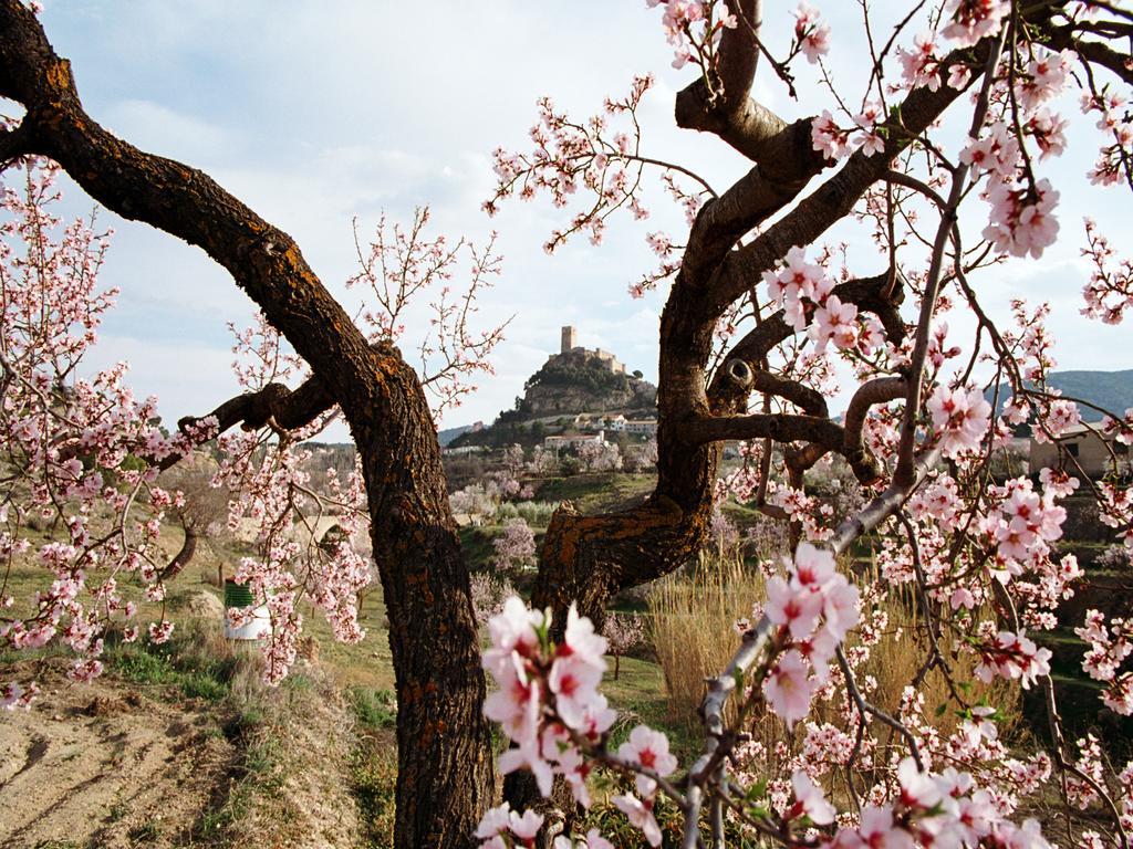 Casa Rural Sant Antoni บิยาร์ ภายนอก รูปภาพ